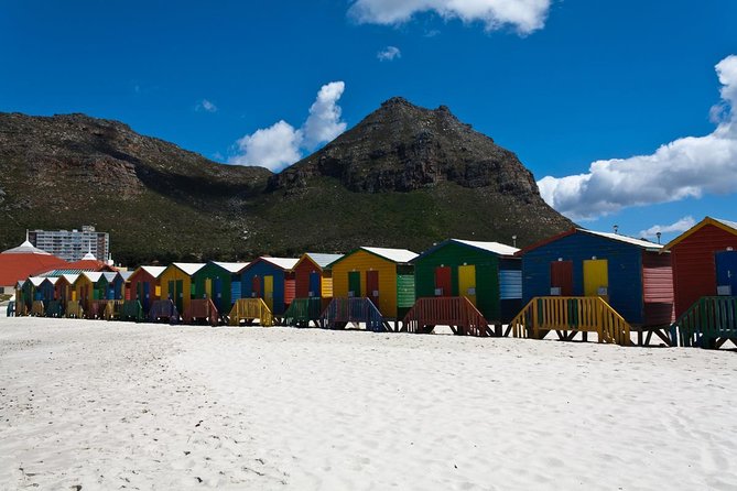 Half day Cape Point Sightseeing Tour with Penguins from Cape Town - Who should book this half-day outing