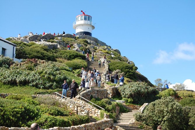 Half day Cape Point Sightseeing Tour with Penguins from Cape Town - Boulders Beach and the African penguins