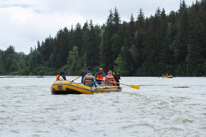 Half-Day Chilkat Bald Eagle Preserve Float Tour - Wildlife watching without a guarantee