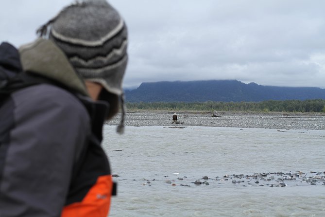 Half-Day Chilkat Bald Eagle Preserve Float Tour - Lunch beside the river