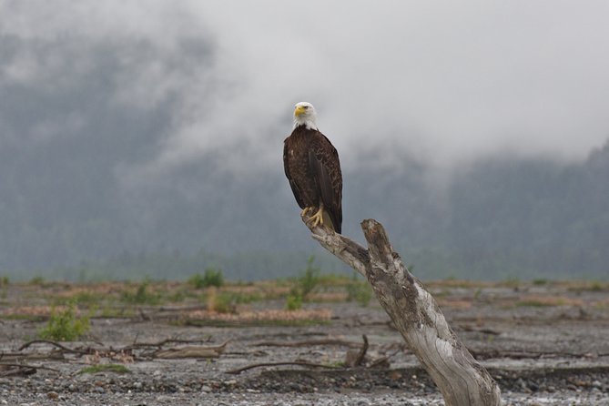 Half-Day Chilkat Bald Eagle Preserve Float Tour - Who will enjoy this float most?