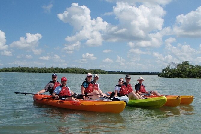 Half Day Kayak or SUP Rental (3hr) - Pelican Bay - Three hours to choose your own Fort Myers water route