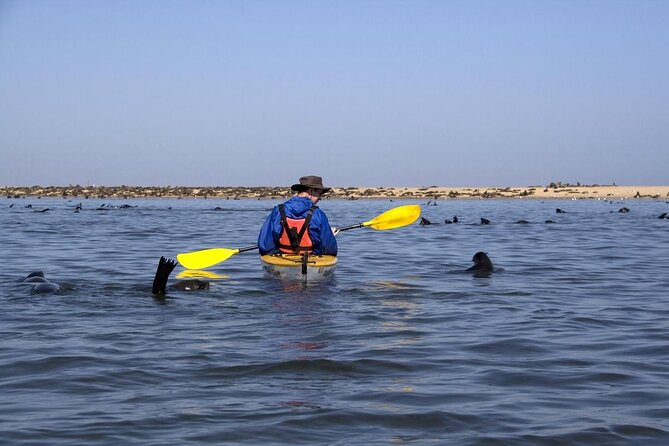 Half Day Original Seal Kayak Adventure, Pelican Point, Walvis Bay - From Walvis Bay to the edge of the Namib Desert