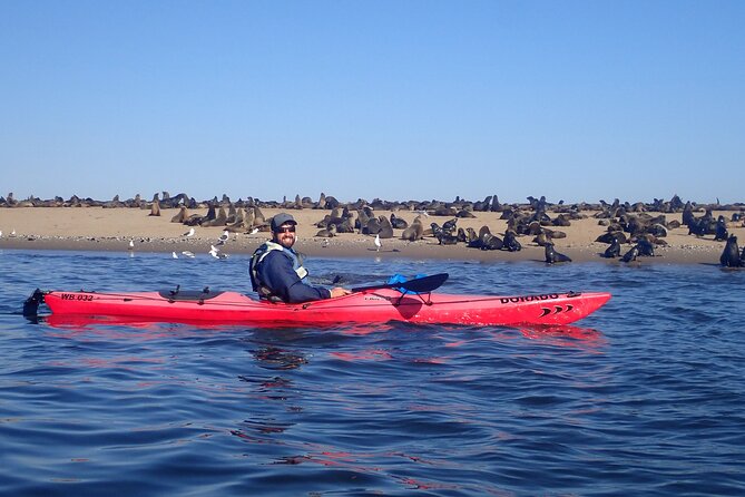 Half Day Original Seal Kayak Adventure, Pelican Point, Walvis Bay - A few practical things to keep in mind