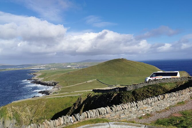 Half Day Private Tour with Puffins, Ponies and Past Shetland - Carol’s Ponies offer a personal look at Shetland’s famous breed