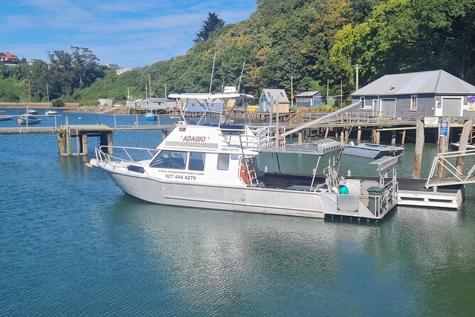 Harbour, Albatross and Wildlife Cruise on Otago Harbour - Carey’s Bay from the water