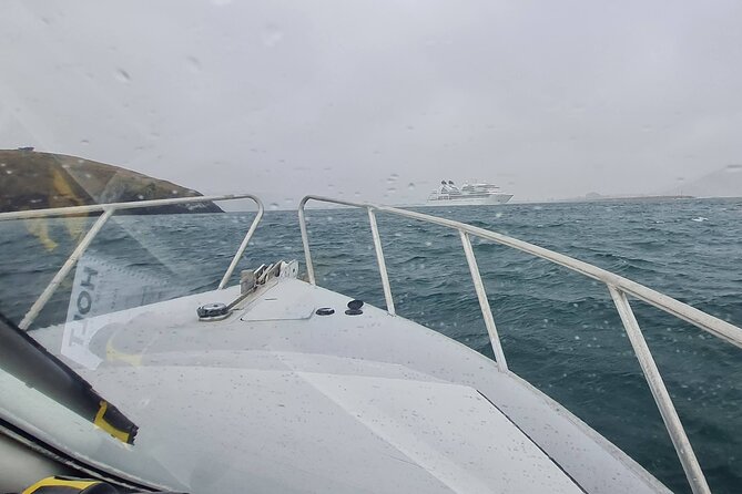 Harbour, Albatross and Wildlife Cruise on Otago Harbour - Taiaroa Head and the Northern Royal Albatross