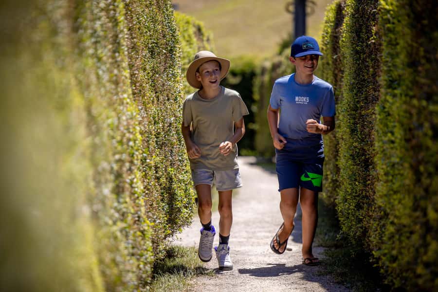 Herons Creek: Bago Maze Entry Ticket - A giant hedge puzzle at Bago Winery