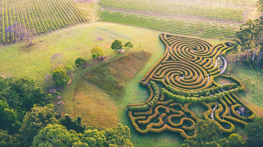 Herons Creek: Bago Maze Entry Ticket - Why the maze works well for families