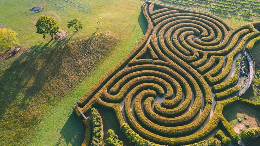 Herons Creek: Bago Maze Entry Ticket - The winery is part of the value