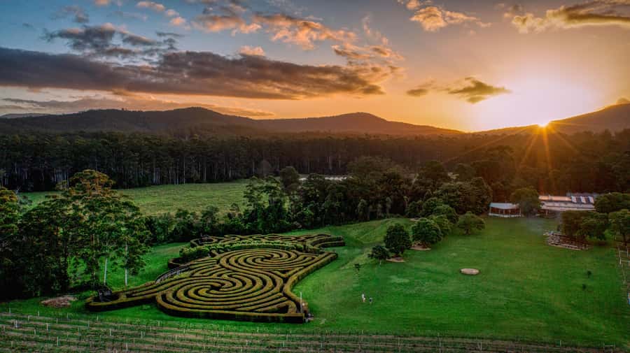 Herons Creek: Bago Maze Entry Ticket - Weather, footwear, and practical comfort