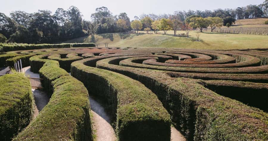 Herons Creek: Bago Maze Entry Ticket - What your visit looks like from check-in to exit