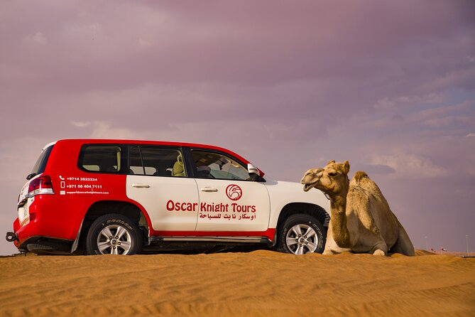 High Red Dunes with Camel Ride, Sandboarding, Falcon Show and VIP BBQ Dinner - Belly dancing, Tanoura, and the evening shows