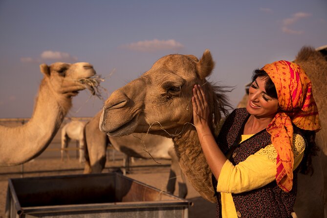 High Red Dunes with Camel Ride, Sandboarding, Falcon Show and VIP BBQ Dinner - Lahbab’s red dunes and the 4x4 ride