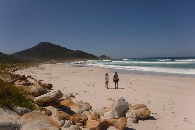 Hiking Cape of Good hope, Cape Point & Penguins Private Full Day - Boulders Beach brings the penguins