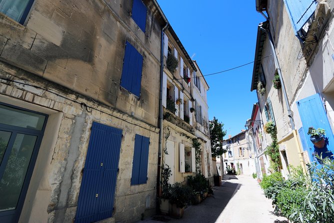 Historic Arles & the beaches and Pink Flamingoes of the Camargue - Why a private vehicle changes the day