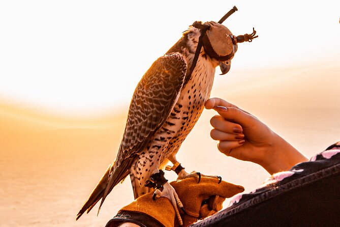 Hot Air Balloon Ride & In-flight Falcon Show including Transfers - Sunrise above the Dubai desert