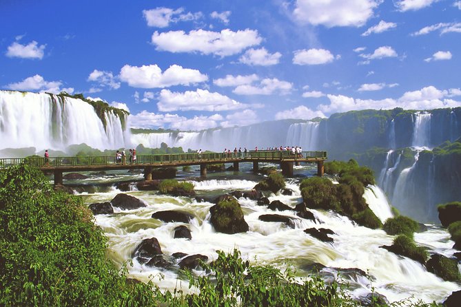 Iguassu Falls Brazilian Side: Macuco Safari, Helicopter Flight and Bird Park - The four best reasons to book this day