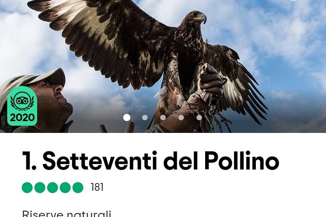 Interactive Educational Course on Birds of Prey - Why the Pollino setting adds value