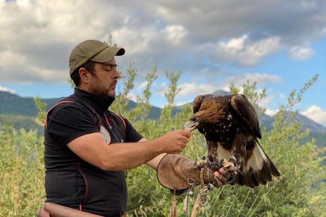 Interactive Educational Course on Birds of Prey - Timing, arrival, and group comfort