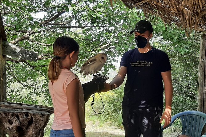 Interactive Educational Course on Birds of Prey - What to know before you book