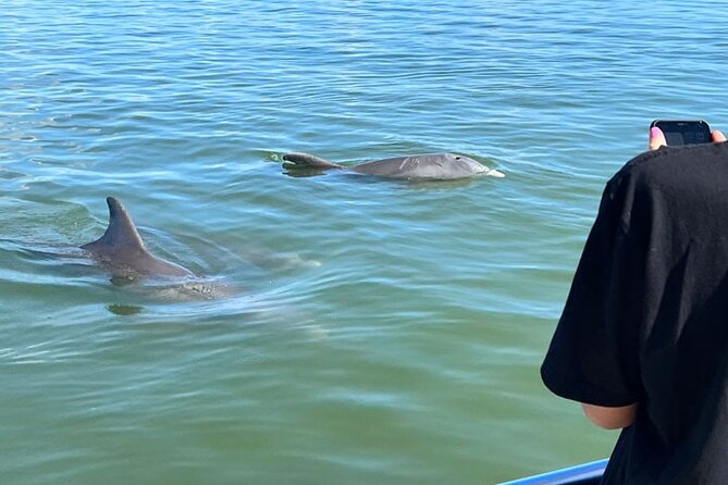 Island Paradise: Dolphin, Shelling, Birding Eco Boat Tour - Setting Out From Goodland at 8:00