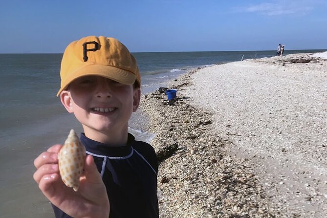 Island Paradise: Dolphin, Shelling, Birding Eco Boat Tour - Shelling on a Quiet Barrier Island