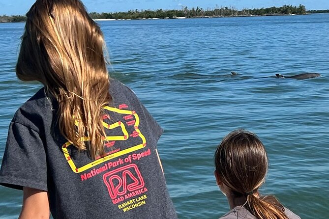 Island Paradise: Dolphin, Shelling, Birding Eco Boat Tour - Marco Island, Gulf Water, and the Way Home