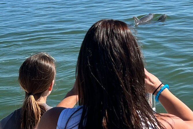 Island Paradise: Dolphin, Shelling, Birding Eco Boat Tour - Guides Who Shape the Experience
