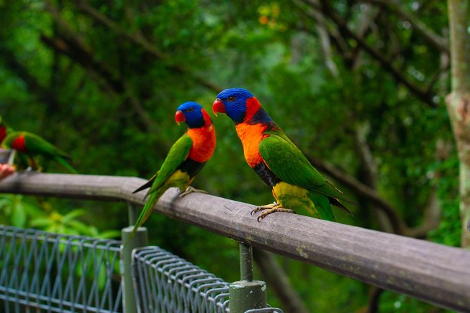 Jurong Bird Park Bird Photography - Why the small group matters