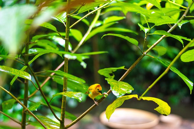 Jurong Bird Park Bird Photography - What you need to bring