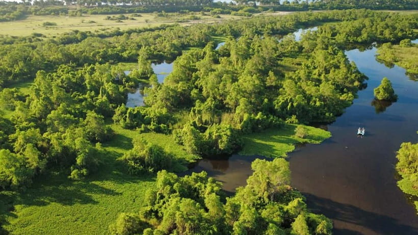 Kalametiya Sanctuary: Bird Watching by Private Boat Tour - What to bring and how to get more from it