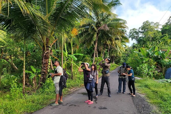 Kalapathar Sunrise, Birdwatching and Village Tour - Key details before you book