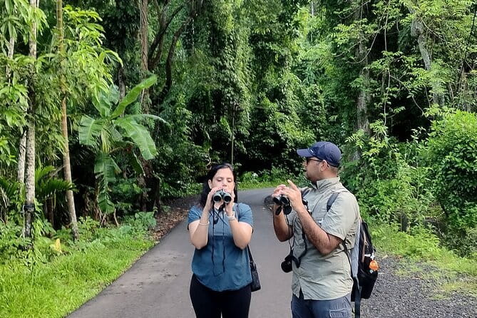 Kalapathar Sunrise, Birdwatching and Village Tour - Birdwatching across three habitats