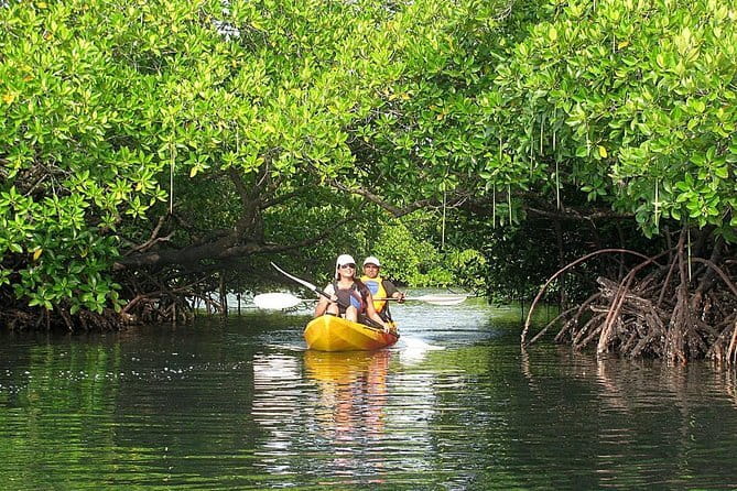 Kalapathar Sunrise, Birdwatching and Village Tour - Is $34.04 good value?