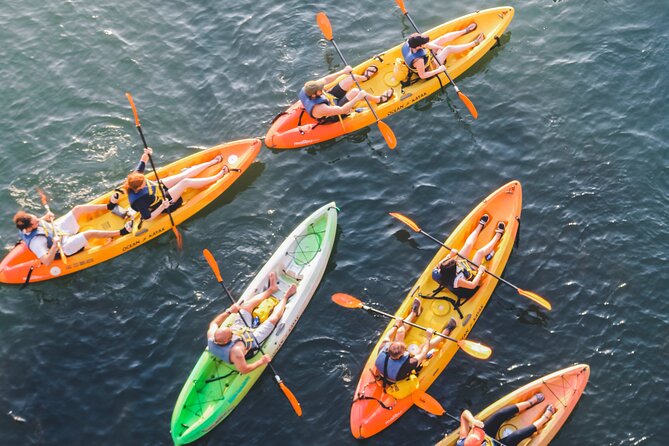 Kayak Rentals on Lady Bird Lake - Why Lady Bird Lake is a good place to kayak
