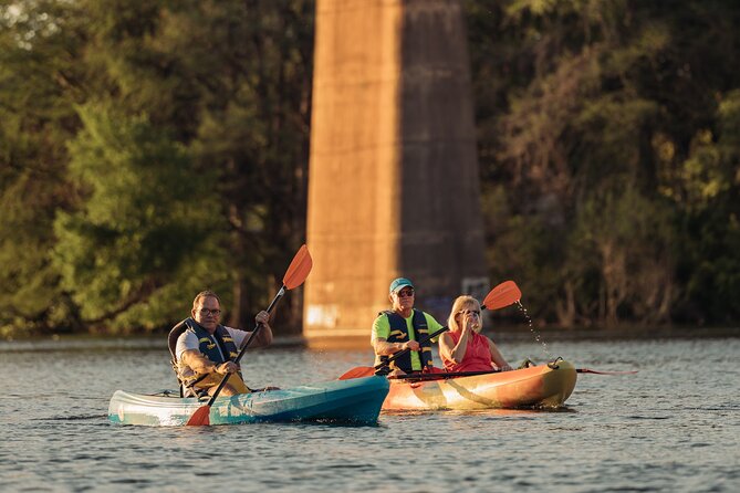 Kayak Rentals on Lady Bird Lake - Skyline views, bridges, turtles, and fish