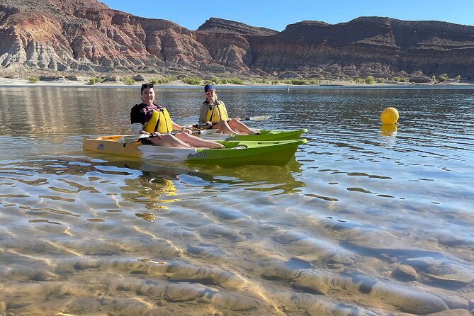 Kayak/SUP Tour: Birds, Beavers, Turtles, maybe even Cliff Jumping - Key points to know before you book