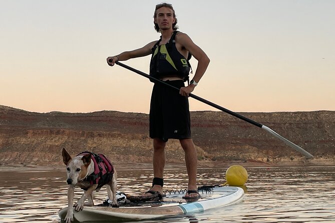 Kayak/SUP Tour: Birds, Beavers, Turtles, maybe even Cliff Jumping - A calm outing with room to set the pace