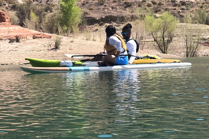Kayak/SUP Tour: Birds, Beavers, Turtles, maybe even Cliff Jumping - What the guides add to the experience