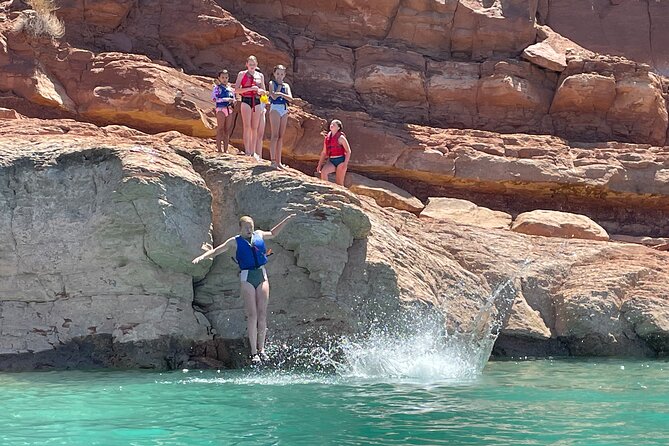 Kayak/SUP Tour: Birds, Beavers, Turtles, maybe even Cliff Jumping - What the $70 price really covers