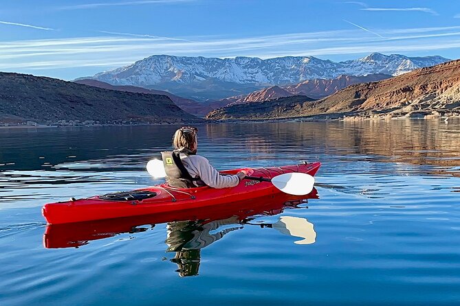 Kayak/SUP Tour: Birds, Beavers, Turtles, maybe even Cliff Jumping - Who will enjoy this Quail Creek outing most