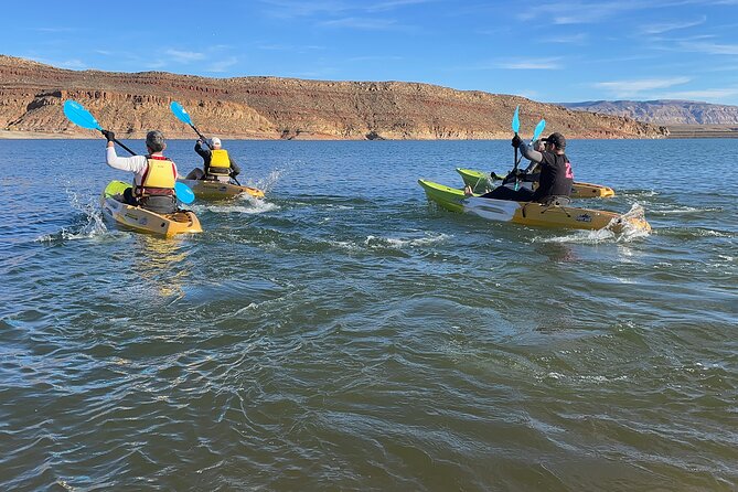 Kayak/SUP Tour: Birds, Beavers, Turtles, maybe even Cliff Jumping - Practical planning for your day on the water