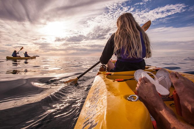 Kayak to the penguins in Simons Town - Long Beach to Simon’s Town Harbour