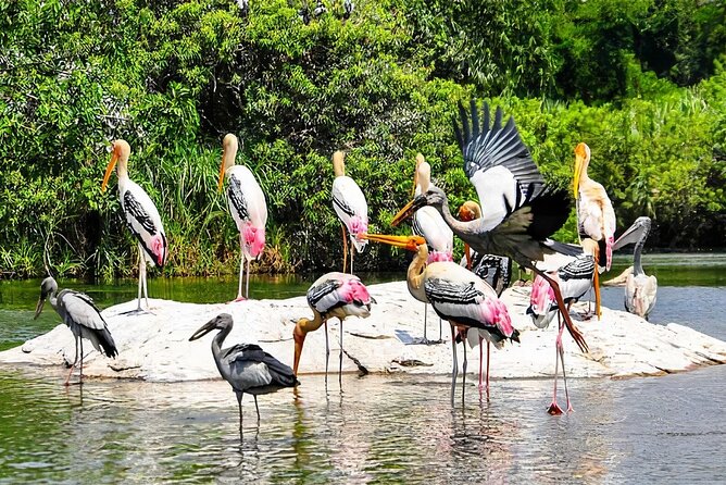 Keoladeo Birds Park Tour From Agra To Jaipur Including Entry - Starting in Agra with a private AC car