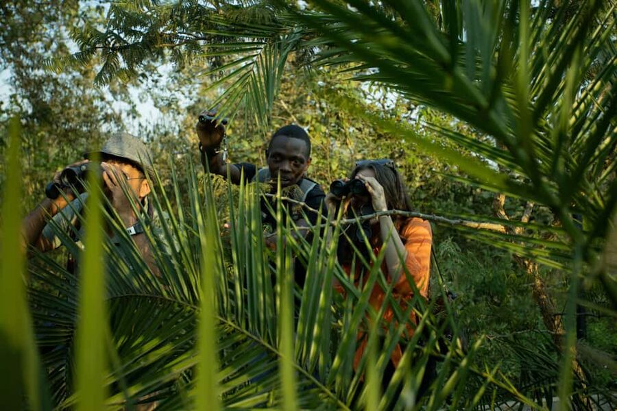 Kigali Eco Park Bird Watching Experience - Key points about birdwatching in Nyandungu