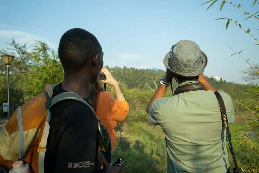 Kigali Eco Park Bird Watching Experience - Why Nyandungu Eco Park works for birdwatchers