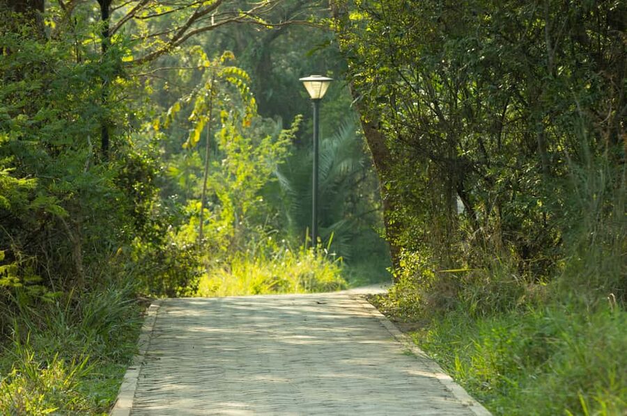 Kigali Eco Park Bird Watching Experience - Who should book this Kigali birdwatching experience?