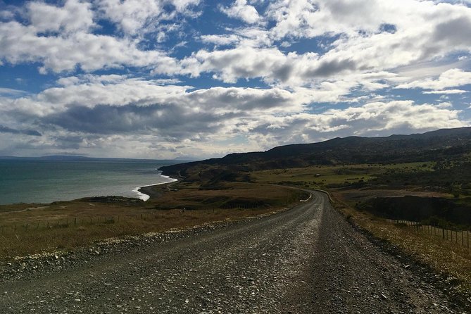 King Penguin Nature Reserve - Tierra del Fuego Island - Guides can make or break the day