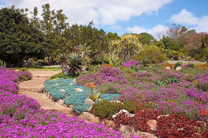 Kirstenbosch Garden, Bo-Kaap-Penguins & Cape of Good Hope Tour - St James Beach and Kalk Bay Harbour